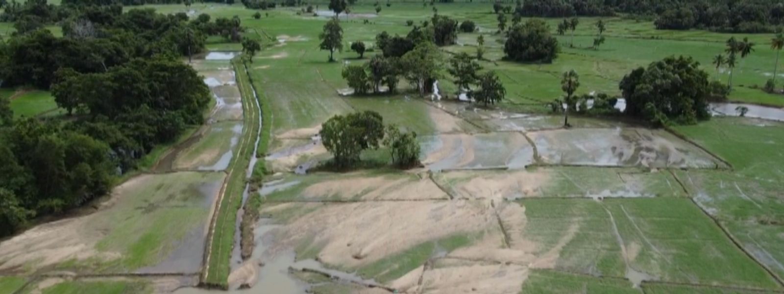 Special Team Appointed to Assess Flood Damage